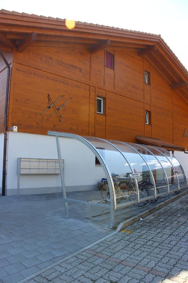 Moench Apartment - Aare Jungfrau Ag Wilderswil Buitenkant foto